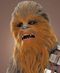 Chewbacca paint by numbers
