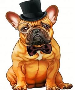 Classy Bulldog Paint by numbers