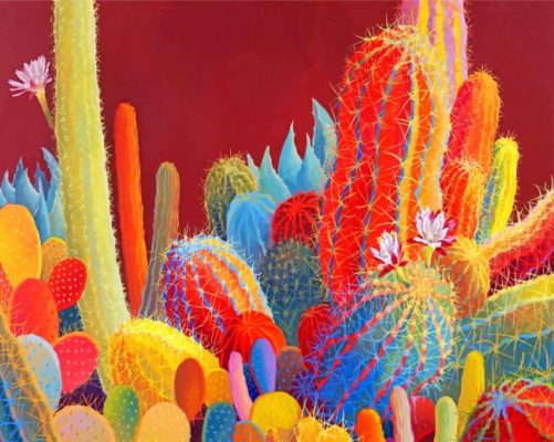 Colorful Cactus Paint b y numbers