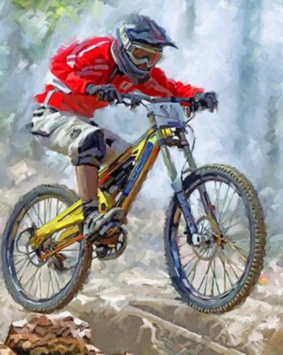 Cool Mountain Biker Paint by numbers