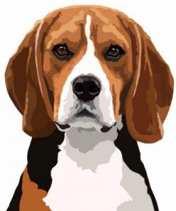 Cute Beagle Paint by numbers