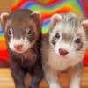 cute-ferrets-paint-by-numbers