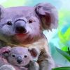 Cute Koala With Baby Paint by numbers
