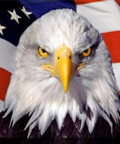 Eagle Flag Paint by numbers