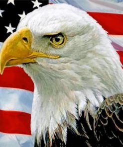 Eagle USA Flag Paint by numbers