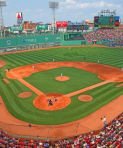 Baseball Fenway Park Paint by numbers