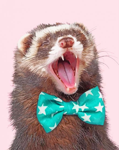 ferret-paint-by-numbers