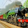Flying Scotsman Paint by numbers