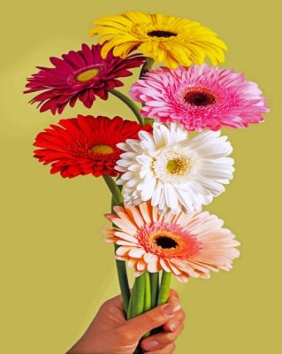 Gerbera Bloem Paint by numbers
