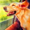 Happy Dog Paint by numbers