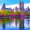 Jacqueline Onassis Reservoir Central Park Paint by numbers