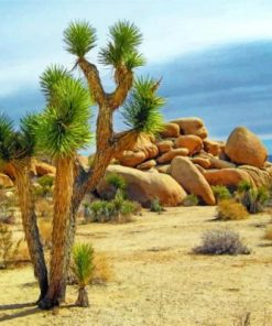 Palm Trees And The Sea Paint by numbers