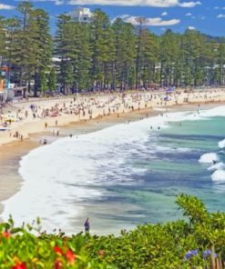Manly Australia Paint by numbers