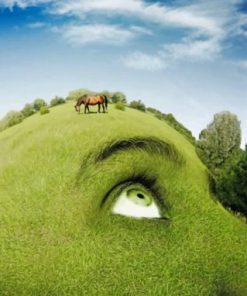 Mother Nature Paint by numbers