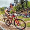 Mountain Biker Paint by numbers