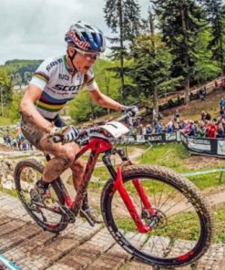 Mountain Biker Paint by numbers