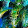 Palm Leaves Paint by numbers