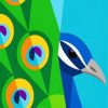Indian peafowl Paint by numbers
