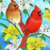 Cardinals Birds Paint by numbers