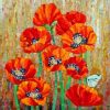 Aesthetic Poppy Flower Paint by numbers