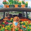Retriever And Plants Paint by numbers
