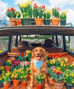 Retriever And Plants Paint by numbers