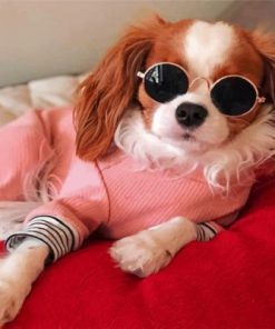 Stylish Cavalier Puppy Paint by Numbers