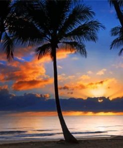 Cairns Sunrise Paint by numbers