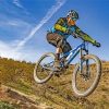Mountain Biker Paint by numbers