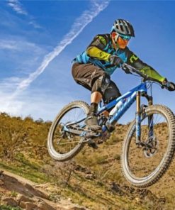 Mountain Biker Paint by numbers