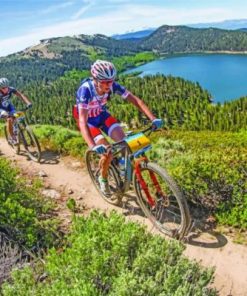 Mountain Bikers Paint by numbers