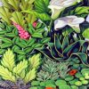 Tropical Flowers And Leaves Paint by numbers