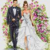 Wedding Illustration Paint by numbers