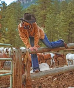 Western Cowgirl Paint by numbers