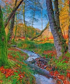 Aesthetic Woodland Paint by numbers
