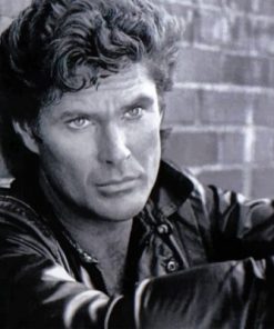 Young David Hasselhoff Paint by numbers