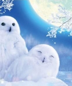 Winter Owls Paint by numbers