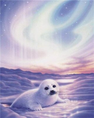 White Polar Seal paint by numbers