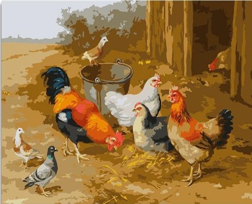 Chickens And Pigeons paint by numbers