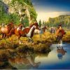 Wild Horse Canyon paint by numbers