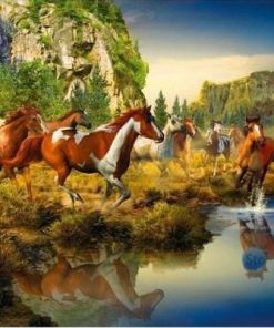 Wild Horse Canyon paint by numbers