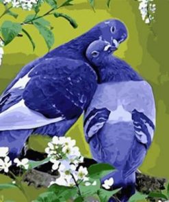Grey Pigeons Paint by numbers