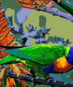 Rainbow Lorikeet Paint by numbers
