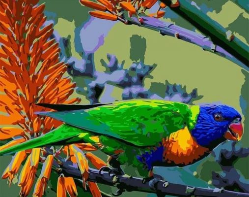 Rainbow Lorikeet Paint by numbers