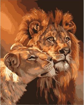 Lion And Lioness Paint by numbers