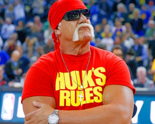 Terry Eugene Bollea Hulk Paint by numbers