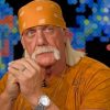 Terry Eugene Bollea Paint by numbers