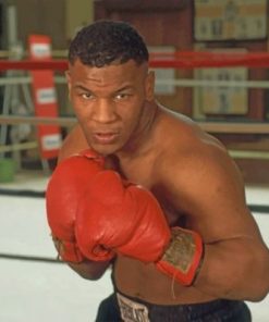 Young Mike Tyson paint by numbers