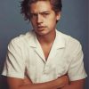 Handsome Cole Sprouse Paint by numbers