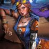 Gaige Borderlands Paint by numbers